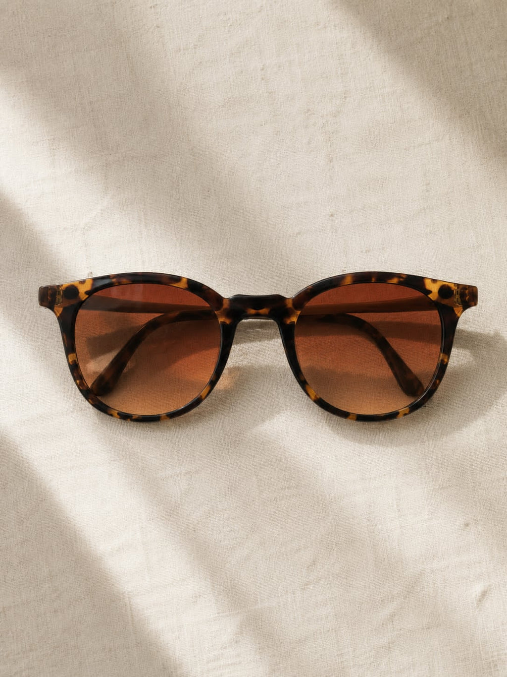 Sahara